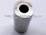 10BF11-040211 Dongfeng Tianjin 4H Engine Part/Auto Part/Spare Part/Car Accessiories Piston Pin