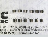 Dongfeng Cummins Engine Part/Auto Part/Spare Part/Car Accessiories  Valve lock 3901177