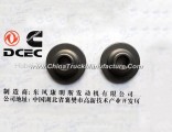Dongfeng Cummins Valve Spring Seat Engine Part/Auto Part C3944452