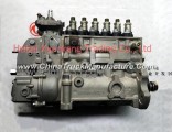 4989873 Dongfeng Cummins Engine Pure Part/Component High Pressure Pump For Engineering Machinery