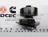 C3934058 C3973124 Dongfeng Cummins Engine Water Pump Assembly