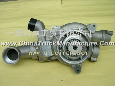 Dongfeng Renault pump assembly