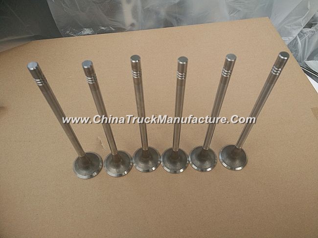 Dongfeng dragon exhaust valve D5010222712