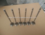 Dongfeng dragon exhaust valve D5010222712