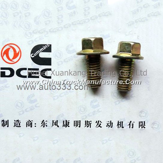 C3903990 Q1841020 Dongfeng Cummins Engine Pure Part Water Filter Seat Screw