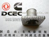 Z3900033 C4988334 Dongfeng Cummins Inlet nozzle
