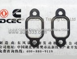 A3905443 C3929881 Pure Engine Part Dongfeng Cummins Exhaust Pipe Gasket