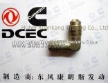 C4928981 RQ65406 Dongfeng Cummins Pump Combination Hose Connection