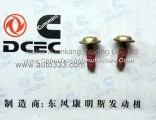 C3907998 Dongfeng Cummins Engine Pure Part Timing Pin Screw