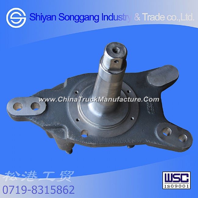 Dongfeng Dana ABS disc brake cover - Sheephorn axle steering knuckle assembly