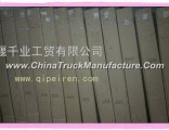 Dongfeng days Kam car door assembly 6100920-C1104
