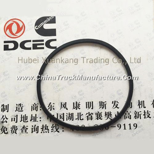 C3902089 3940386 Dongfeng Cummins Engine Part/Auto Part/Spare Part /Car Accessiories Water Pump Seal