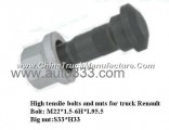 High tensile bolts and nuts for truck Renault