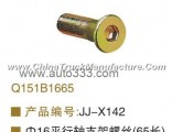 OEM Q151B1665 balance shaft support screw 65cm length