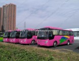 Professional Supply 42-50seats 10.5m Tourist Bus City Bus/Coach