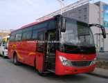 37-40seats 8.5m Bus Rear Engine Coach/Tourist Bus