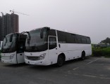 11m Tourist Bus with 47-55 Seats LHD/Rhd Diesel Coach for Sale