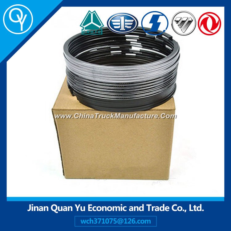 Piston Ring for Engine Part (VG1540030005)
