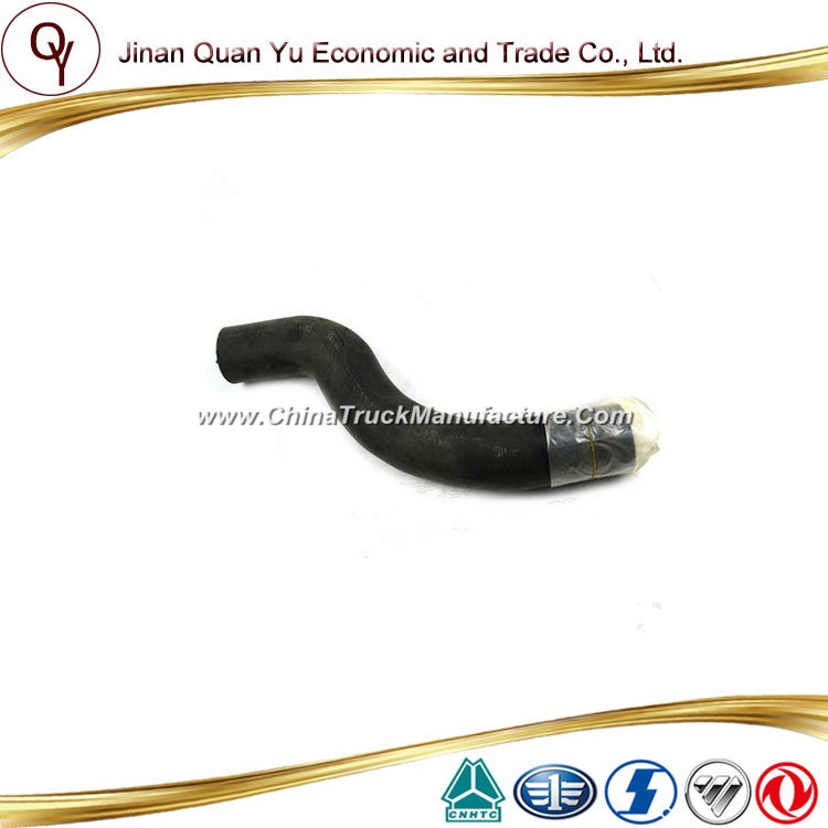 Rubber Hose for Sinotruck HOWO Truck Part (WG9925530034)