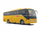 HOWO 245HP Jk6108hx School Bus
