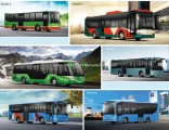 Ankai City Bus--9-12m Series