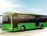 Ankai Inter City Bus (49+1 Seats)