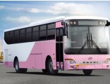 Ankai Hff6121gz-4A Inter City Bus