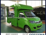 China Made Forland Gasoline Mini Outdoor Street Mobile Kitchen Van