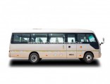 Mudan 7.7 Meter 31seats Coaster Copy Diesel Minibus