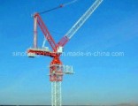 Luffing Tower Crane Qtd80 (D4015)