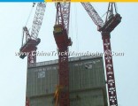 16t D6029 Type Luffing Tower Crane with Good Price