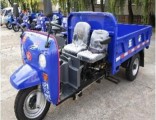 Waw Diesel Motorized 3-Wheel Tricycle for Sale