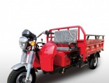 Chinese Open Waw Diesel Motorized Cargo Tricycle for Sale
