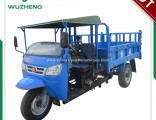 Wuzheng Three Wheel Truck with Wind Shield (WE3B2521101)