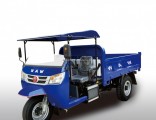 Waw Diesel Open Motorized Cargo Tricycle for Sale