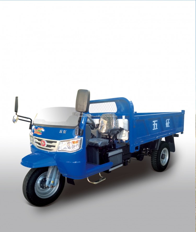 Diesel Open Motorized Cargo Tricycle From China