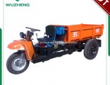Chinese Waw Cargo Diesel Open 3-Wheel Tricycle (WK3B0019101)