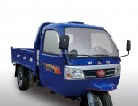 Chinese Waw Cargo Diesel Motorized 3-Wheel Tricycle with Cabin (WKH3B321)