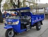 Chinesediesel Motorized Three Wheel Truck for Sale