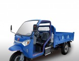 Waw Diesel Motorized 3-Wheel Tricycle From China