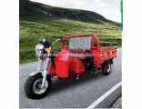 Open Cargo Diesel Motorized Three Wheel Tricycle