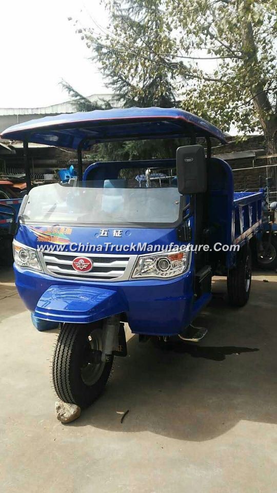 Diesel Motorized Waw Chinese 3-Wheel Tricycle