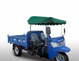 Open Waw Diesel Motorized Cargo Three Wheel Truck for Sale From China