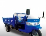 Chinese Diesel Dump Right Hand Drive Tricycle for Sale