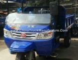 Chinese Waw Open Cargo Diesel Motorized3-Wheel Tricyclefrom China