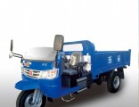 Diesel Chinese Open Cargo Motorized 3-Wheel Tricycle
